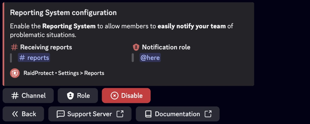 Report settings screenshot